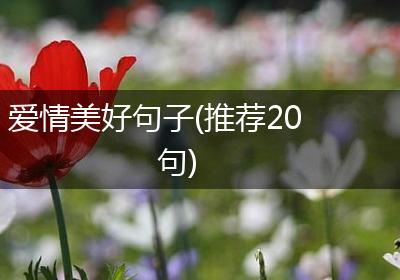 爱情美好句子(推荐20句)