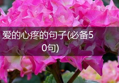 爱的心疼的句子(必备50句)