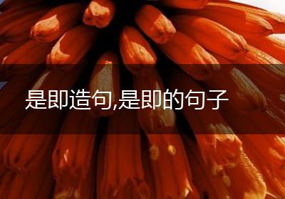 是即造句,是即的句子