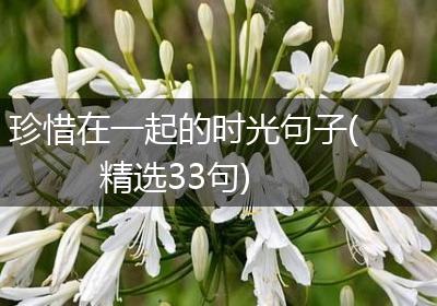 珍惜在一起的时光句子(精选33句)