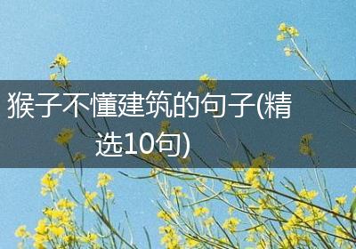 猴子不懂建筑的句子(精选10句)