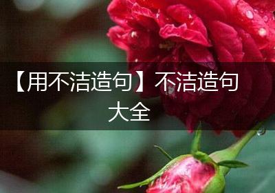 【用不洁造句】不洁造句大全