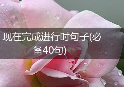 现在完成进行时句子(必备40句)