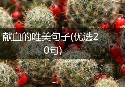 献血的唯美句子(优选20句)