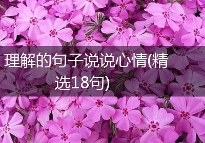 理解的句子说说心情(精选18句)