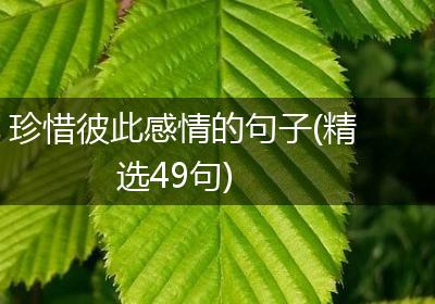珍惜彼此感情的句子(精选49句)