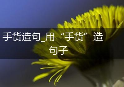 手货造句_用“手货”造句子