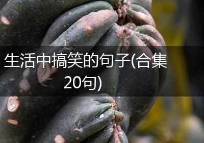 生活中搞笑的句子(合集20句)
