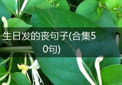 生日发的丧句子(合集50句)