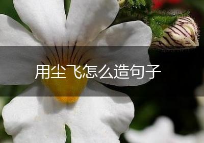 用尘飞怎么造句子