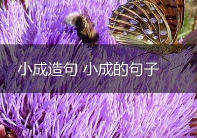 小成造句 小成的句子
