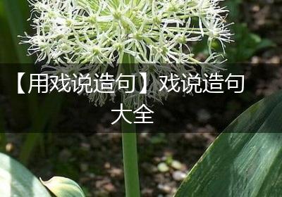 【用戏说造句】戏说造句大全