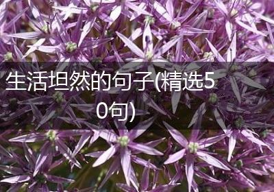 生活坦然的句子(精选50句)