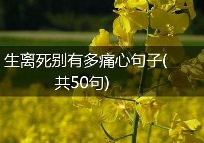 生离死别有多痛心句子(共50句)