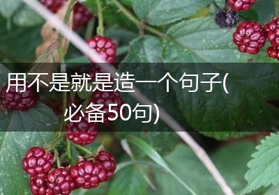 用不是就是造一个句子(必备50句)