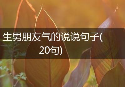 生男朋友气的说说句子(20句)