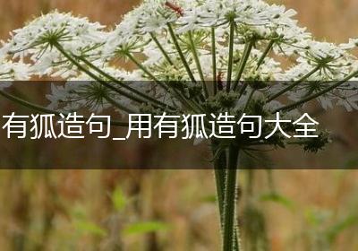 有狐造句_用有狐造句大全