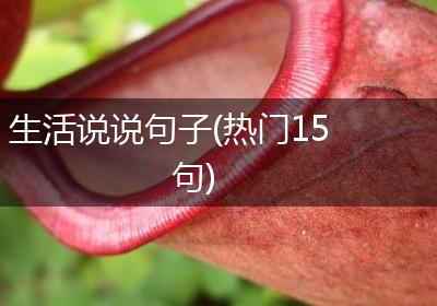 生活说说句子(热门15句)