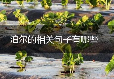 泊尔的相关句子有哪些