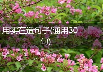 用实在造句子(通用30句)