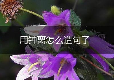 用钟离怎么造句子