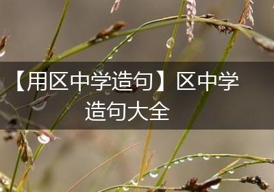 【用区中学造句】区中学造句大全