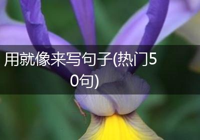 用就像来写句子(热门50句)