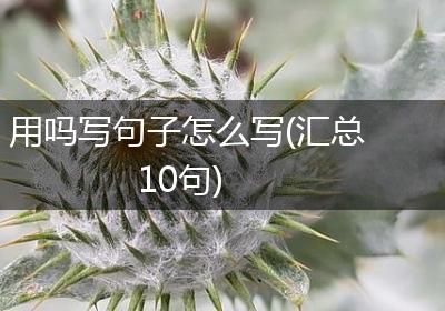 用吗写句子怎么写(汇总10句)