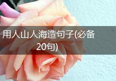 用人山人海造句子(必备20句)