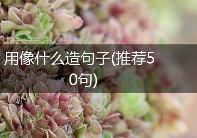 用像什么造句子(推荐50句)