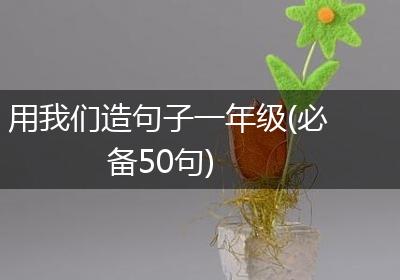 用我们造句子一年级(必备50句)
