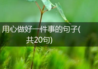 用心做好一件事的句子(共20句)
