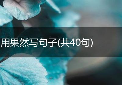 用果然写句子(共40句)