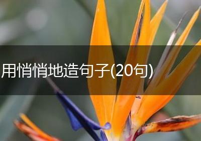 用悄悄地造句子(20句)