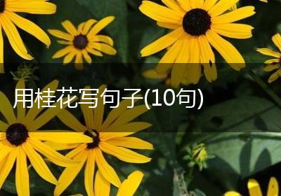 用桂花写句子(10句)