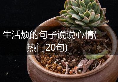 生活烦的句子说说心情(热门20句)