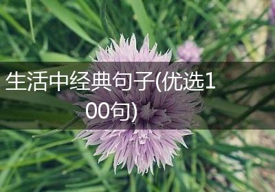 生活中经典句子(优选100句)