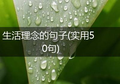 生活理念的句子(实用50句)