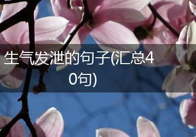 生气发泄的句子(汇总40句)