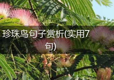 珍珠鸟句子赏析(实用7句)