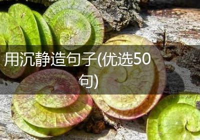 用沉静造句子(优选50句)