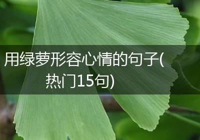 用绿萝形容心情的句子(热门15句)