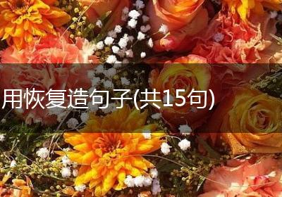 用恢复造句子(共15句)
