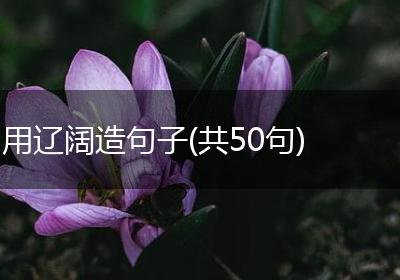 用辽阔造句子(共50句)