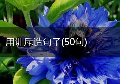 用训斥造句子(50句)