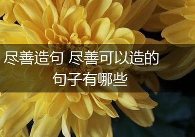 尽善造句 尽善可以造的句子有哪些