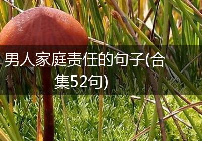 男人家庭责任的句子(合集52句)