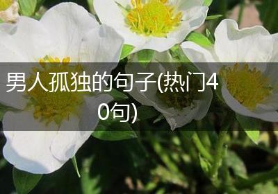 男人孤独的句子(热门40句)