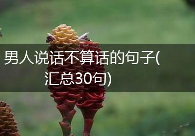 男人说话不算话的句子(汇总30句)