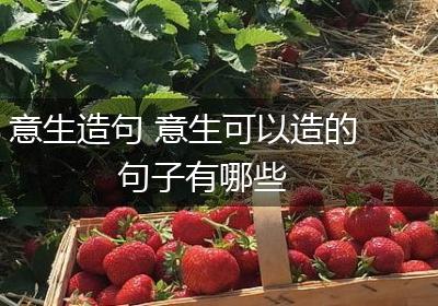 意生造句 意生可以造的句子有哪些